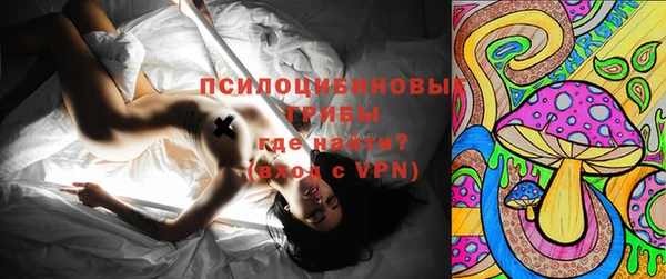 ПСИЛОЦИБИНОВЫЕ ГРИБЫ Алексеевка