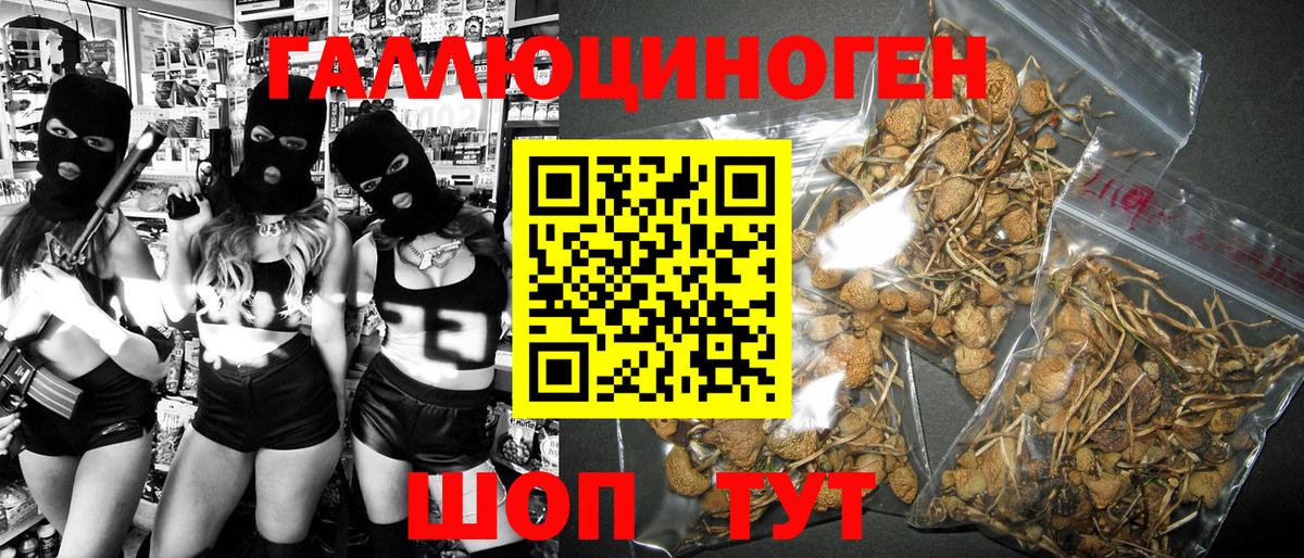 Псилоцибиновые грибы Psilocybe Кыштым